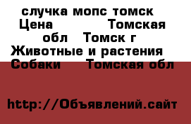 случка мопс томск › Цена ­ 2 000 - Томская обл., Томск г. Животные и растения » Собаки   . Томская обл.